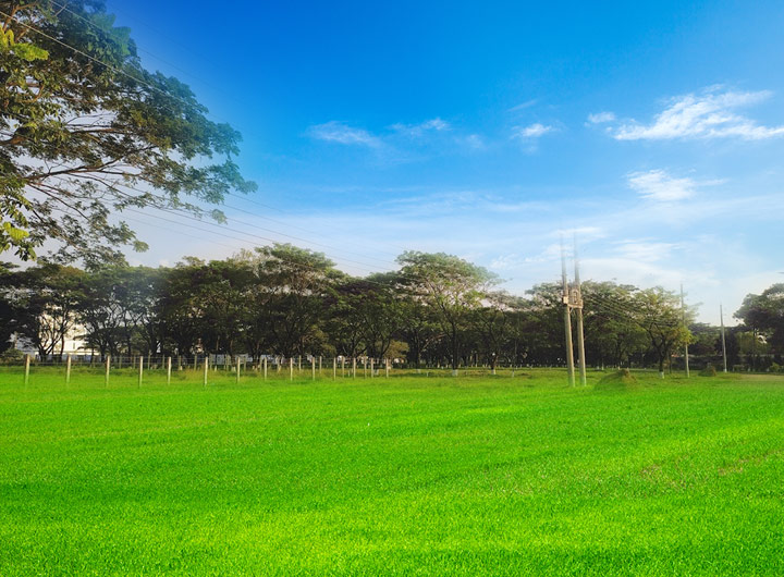 Customized Lands for Educational Institutes