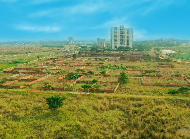 Eco-friendly Development