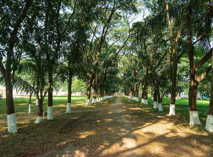 Swadesh Environmental concerns