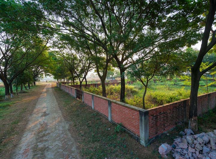 Green spaces & amenities