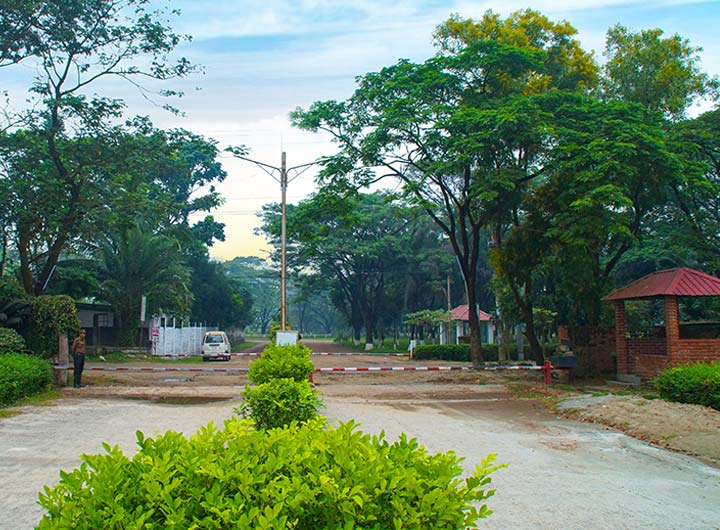 Green spaces and sustainability