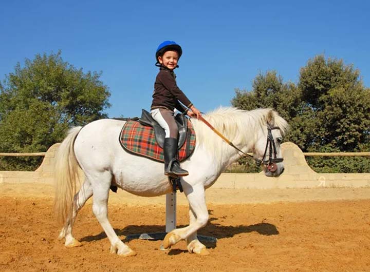 Horse Riding School in Dhaka