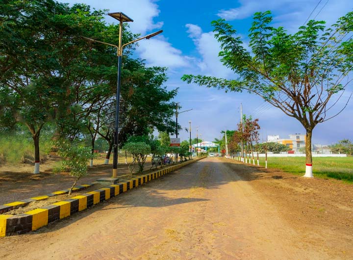 Location & Accessibility