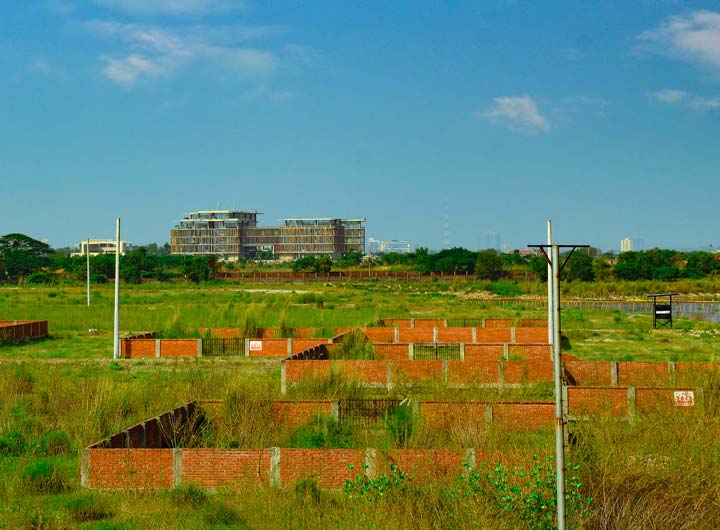 Professional Management