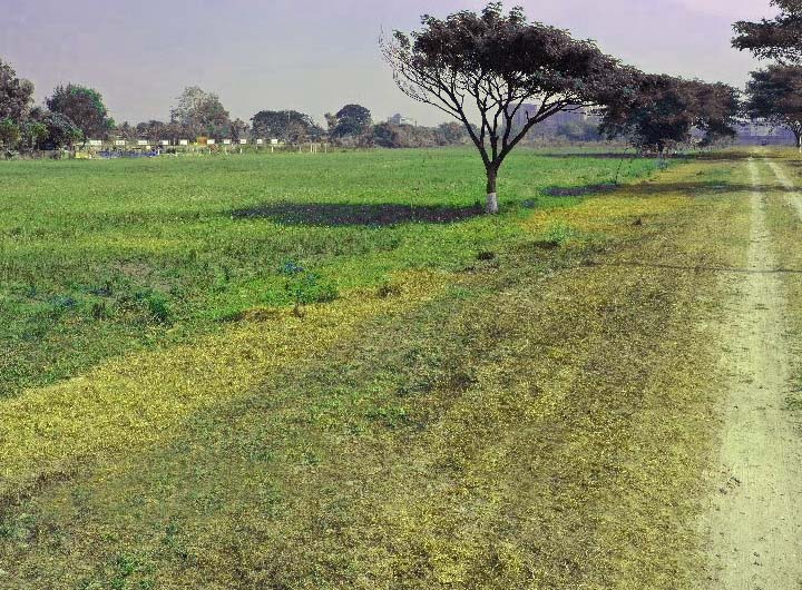ঢাকার প্রাণকেন্দ্রে নিষ্কন্টক জমি